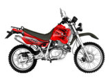 Motorcycle (WL250GY)