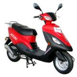 Gas Scooter (AF50QT-1)