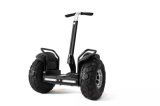 2016 Whoelsale 19 Inch Self-Balancing Electric Scooter
