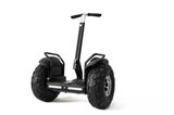 2016 Whoelsale 19 Inch Self-Balancing Electric Scooter