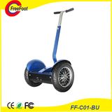 Self Balancing Electric Scooter