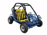 Go Kart (CY-201)