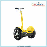 2015 Auto & Transportation Electric Standing Scooter