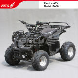 Electric ATV 800W