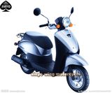 Classic Hot Sell 800W Electric Scooter
