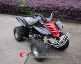 110cc 4 Wheeler Quad Bike (AT1101)
