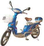 E-Bike (YRJY15Z)