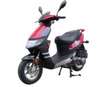 Scooter (ACE50QT-1)