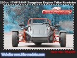 2015 New Style 250cc Water Cooled 3 Wheel Ztr Trike Roadster Tr2501