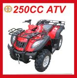 New 250cc Petrol Quad Bike for Sale