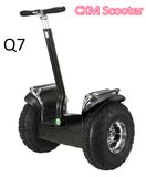 New Design 19 Inch Self-Balancing Scooter for Sport