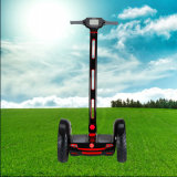 Two Wheels Standing Electric Self Balancing Board Scooter