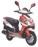 EEC Scooters (ZW50QT-8)