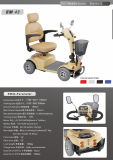 Disabled Scooter, Handicapped Mobility Scooter (XT-FL447)