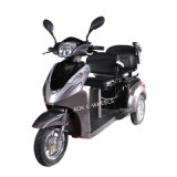 500W/700W Two Seat Mobility Scooter with Deluxe Saddle (TC-022B)