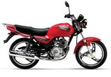 125CC Street Motorcycle (JS125-6B)