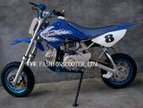 Dirt Bike (FSDB05)