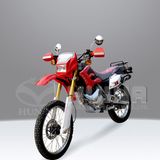 Dirt Bike (HN250GY-8)