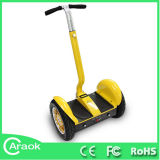 Lead Acid Battery 48V Caraok Electric Scooter in China