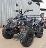 Cheap Price 110cc Mini Quad Bike