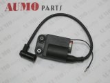 Motorcycle Cdi, Motorcycle Electrical Parts (ME123000-0370)