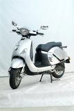 EEC Scooter (50QT-F)