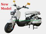 Electric Scooter /500watt
