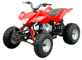 ATV (WJ200ST-6)