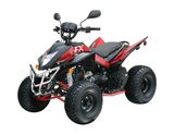 Min-Order 149cc EEC ATV (FXATV-005)