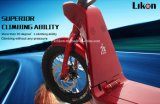 2016 Hot Sales Jiexg Mini E-Scooter with Replaceable Battery, 500W 48V, 18.8ah Big Capacity Long Distance up to 55km, Good Quality of Electric Scooter.