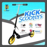 Big Wheel Kick Scooer