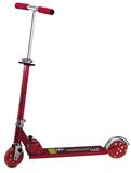 Kick Scooter (TL-H622-2)