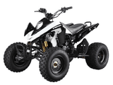 New Style 250CC ATV (GBTA61-250)