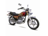 Motorcycle (TY125-2B)