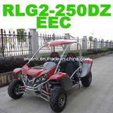 Beach Buggy (RLG2-250DZ)