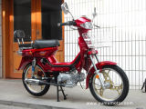 50cc Moped (Popular Model Motorcycle YL50-3)