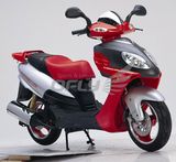 Gasoline Motor Scooter (MS1273EEC)
