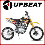 Upbeat 200cc Dirt Bike 250cc Pit Bike for Sale Cheap