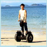 China Rechargeable Li-ion Battery Power Electric Scooter