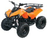 110CC ATV (GBT-ATV-008)