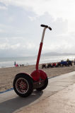 CE Approed Electric Self Balancing Scooter