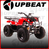 Upbeat 200cc/250cc Cheap ATV Quad