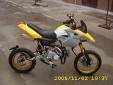 Dirt Bike 110cc/125cc-4-Stroke Aircooled Dirt Bike (GS-BEST-30)