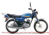 Motorcycle (AX100)