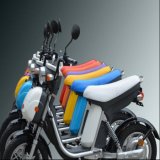EEC Approval Electric Scooter (TDR48K15)
