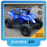 Electric ATV for Sale