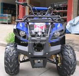 China Supplier OEM Cheap Atvs