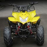 160cm Big Wheel 110CC ATV with Big Front Light (ET-ATV011)