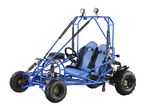 off Road with CE Electic Mini Go Kart for Kids (KD 49FM5-E)