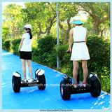 China 2 Wheel Folding Upright Standing Balancing Battery Scooters